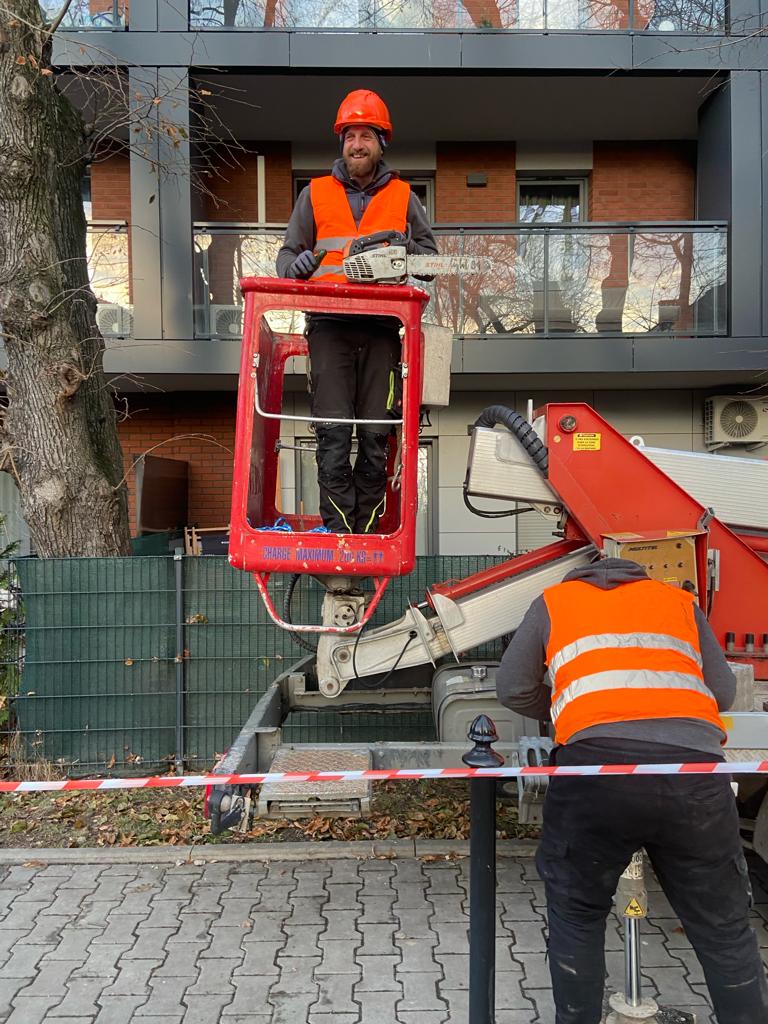 przycinanie drzew w Wieliczce